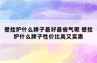 壁挂炉什么牌子最好最省气呢 壁挂炉什么牌子性价比高又实惠